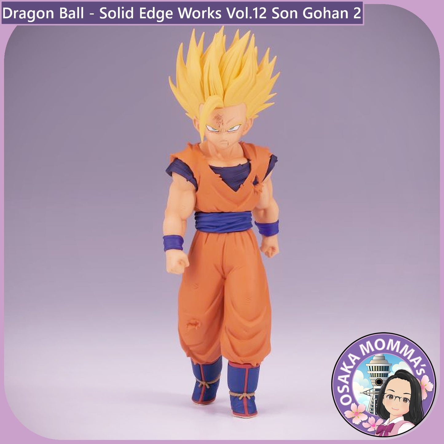 Son Gohan - Solid Edge Works Vol.12