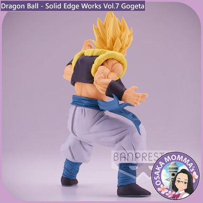 Gogeta - Solid Edge Works Vol.7