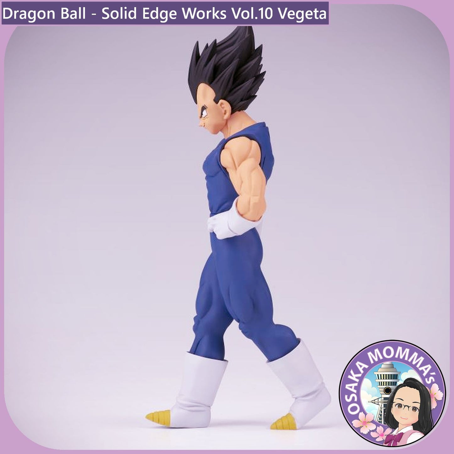 Vegeta - Solid Edge Works Vol.10