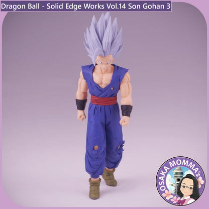 Son Gohan - Solid Edge Works Vol.14