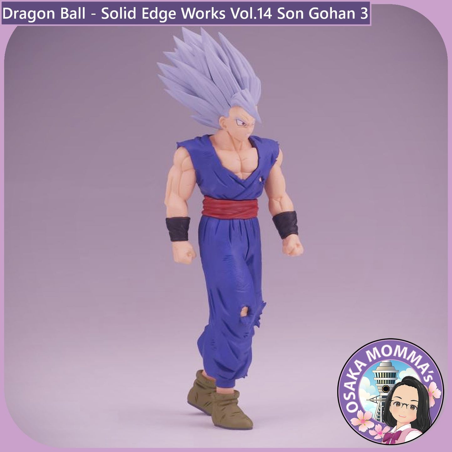 Son Gohan - Solid Edge Works Vol.14