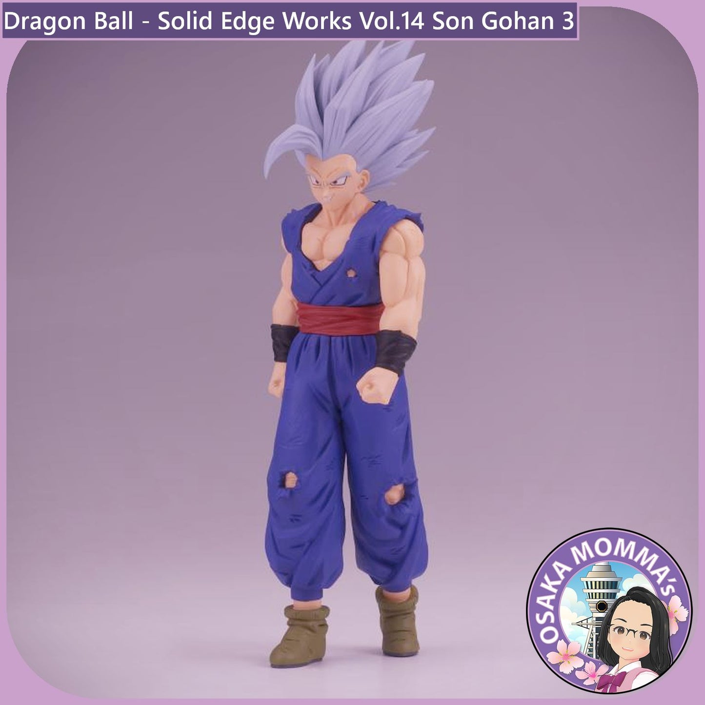 Son Gohan - Solid Edge Works Vol.14