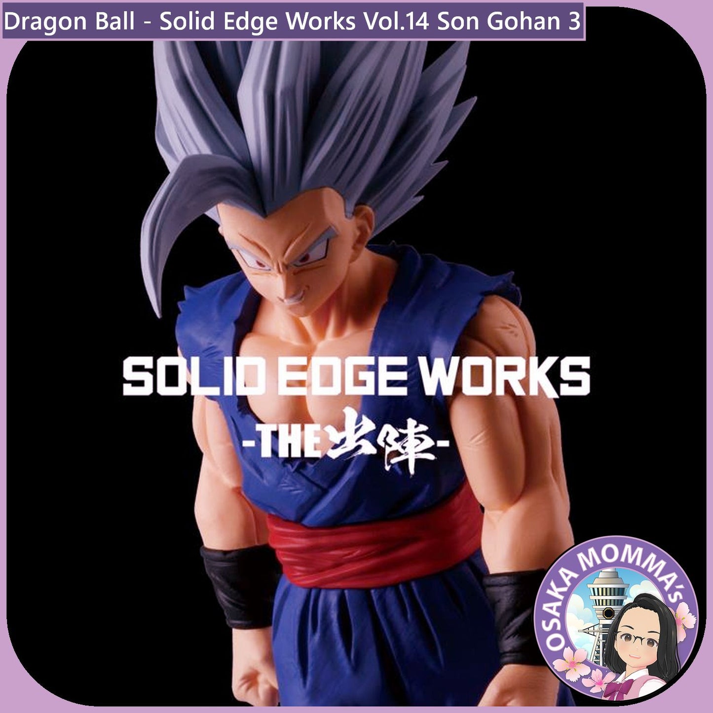 Son Gohan - Solid Edge Works Vol.14