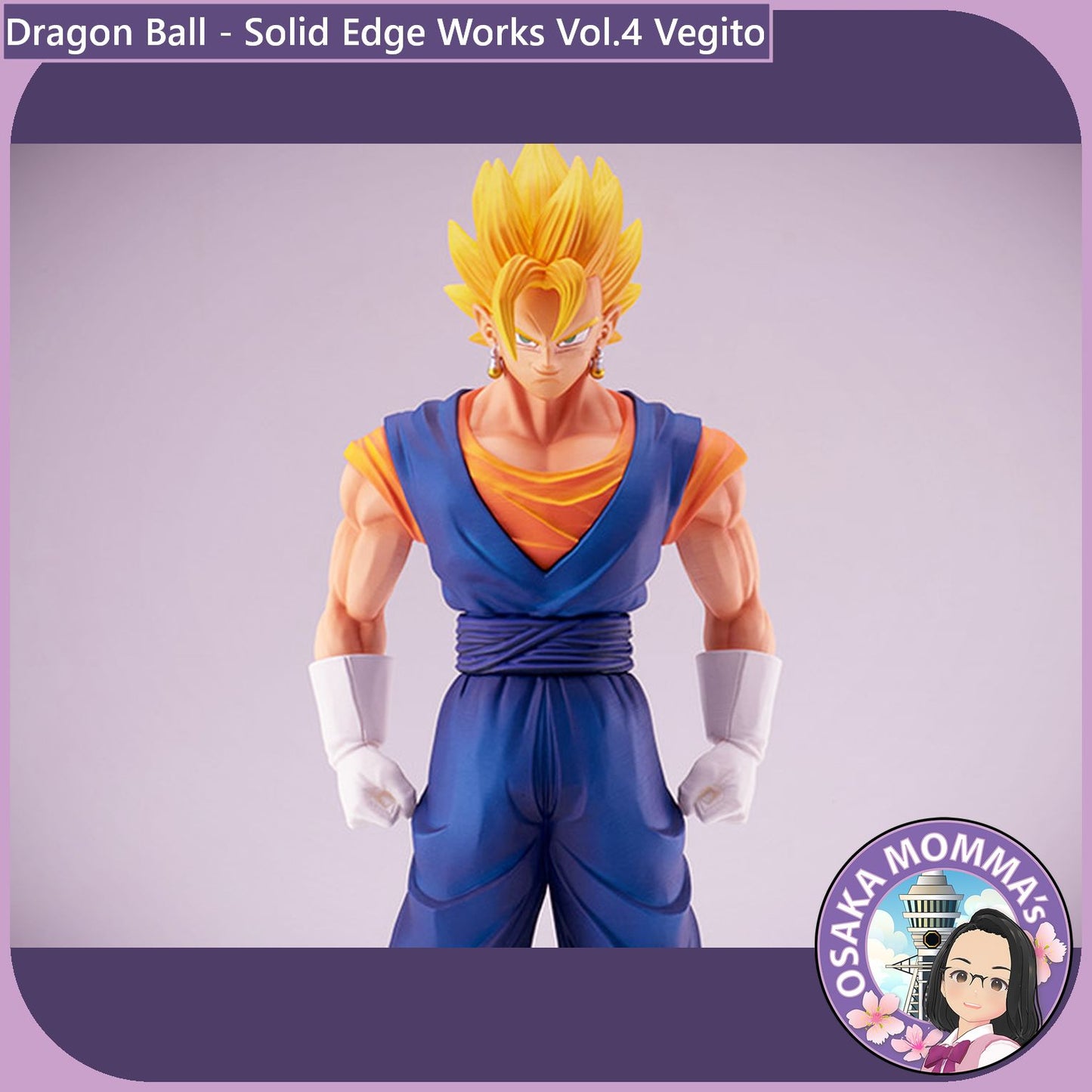 Vegito - Solid Edge Works Vol.4