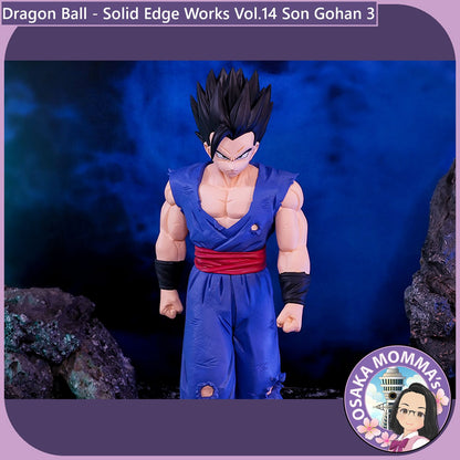 Son Gohan - Solid Edge Works Vol.14