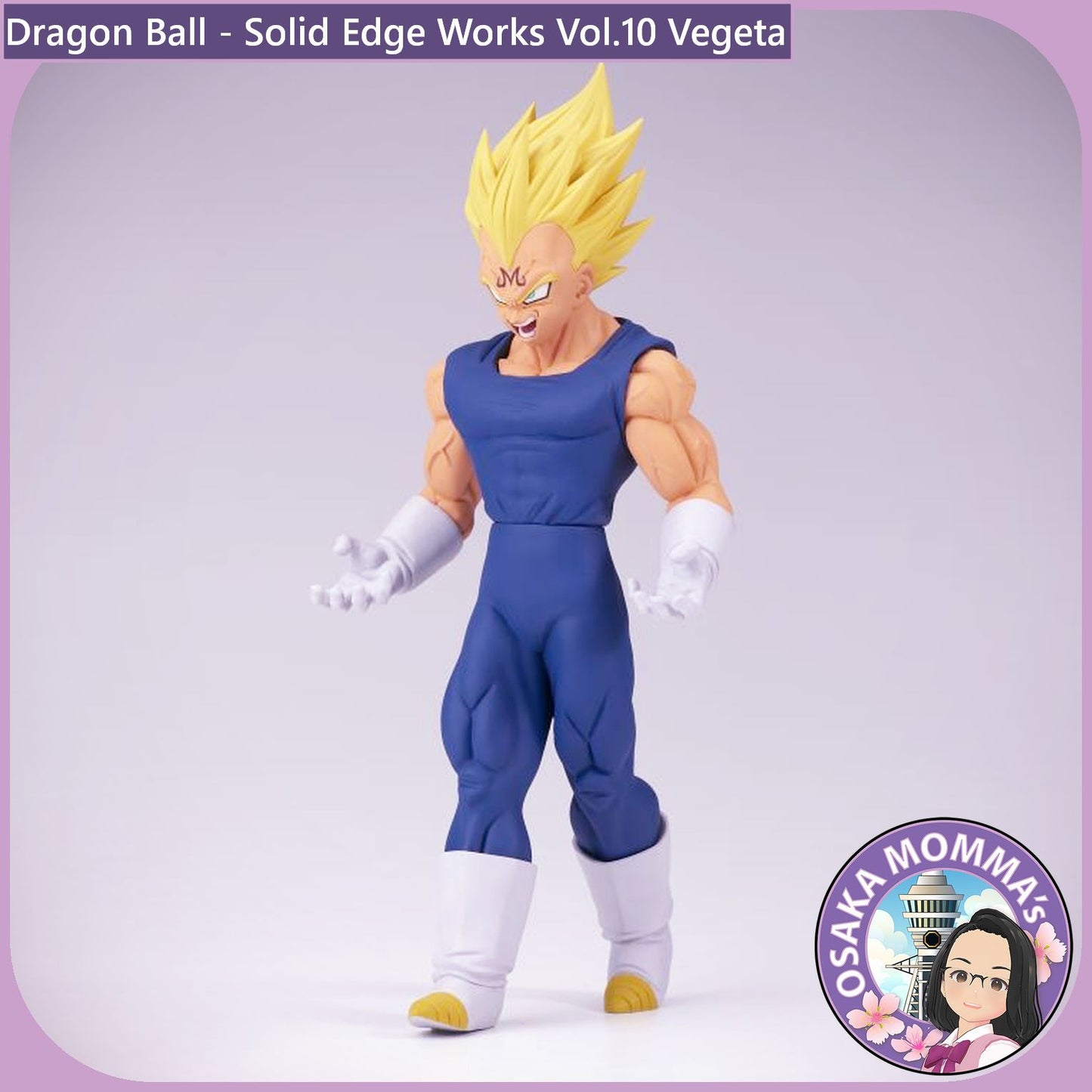 Vegeta - Solid Edge Works Vol.10