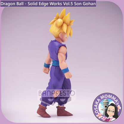 Son Gohan - Solid Edge Works Vol.5