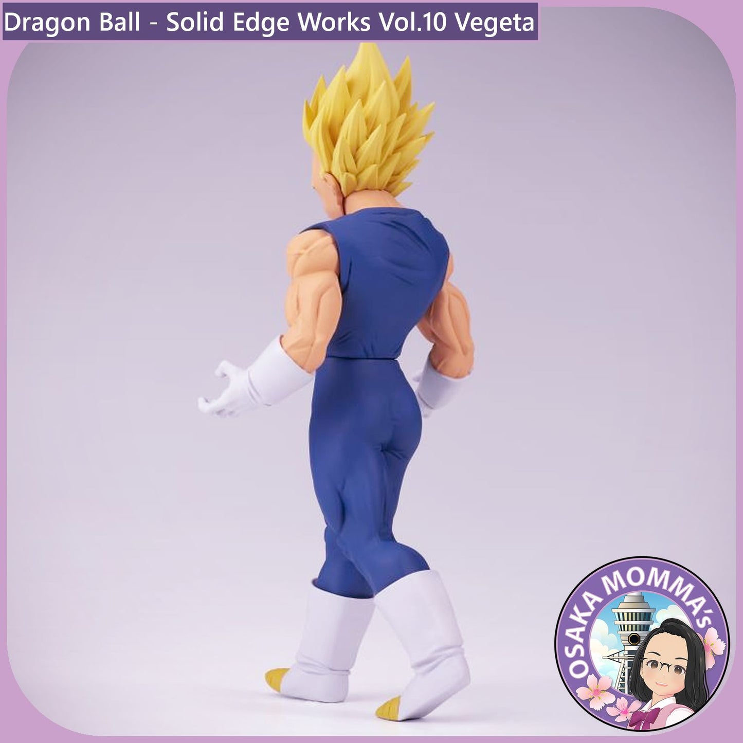 Vegeta - Solid Edge Works Vol.10