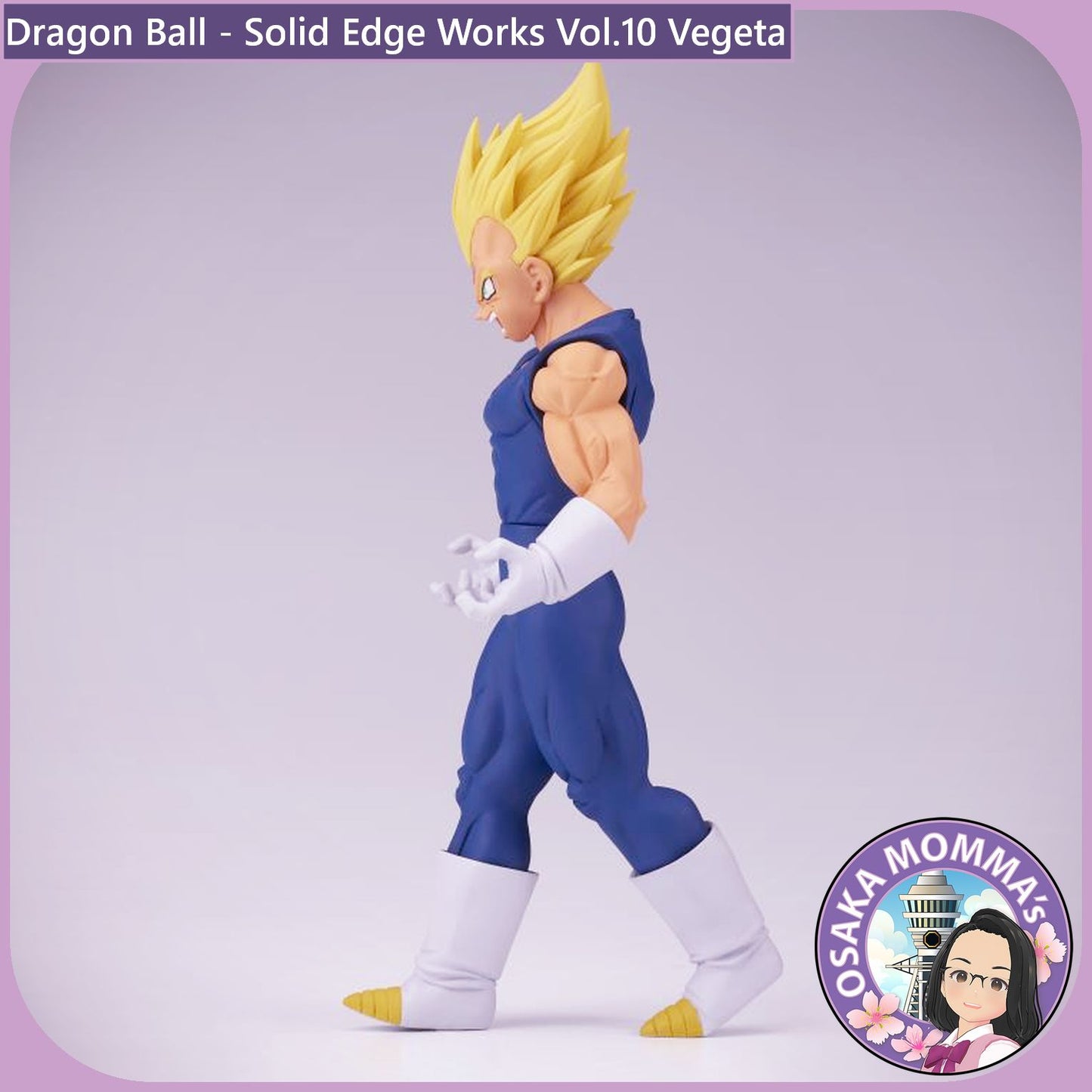 Vegeta - Solid Edge Works Vol.10