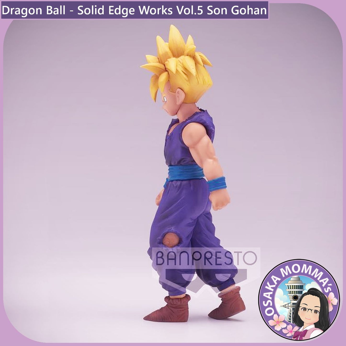 Son Gohan - Solid Edge Works Vol.5