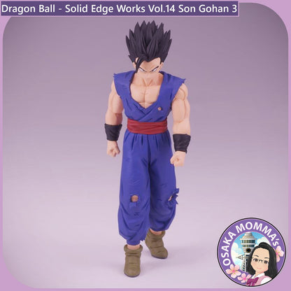 Son Gohan - Solid Edge Works Vol.14