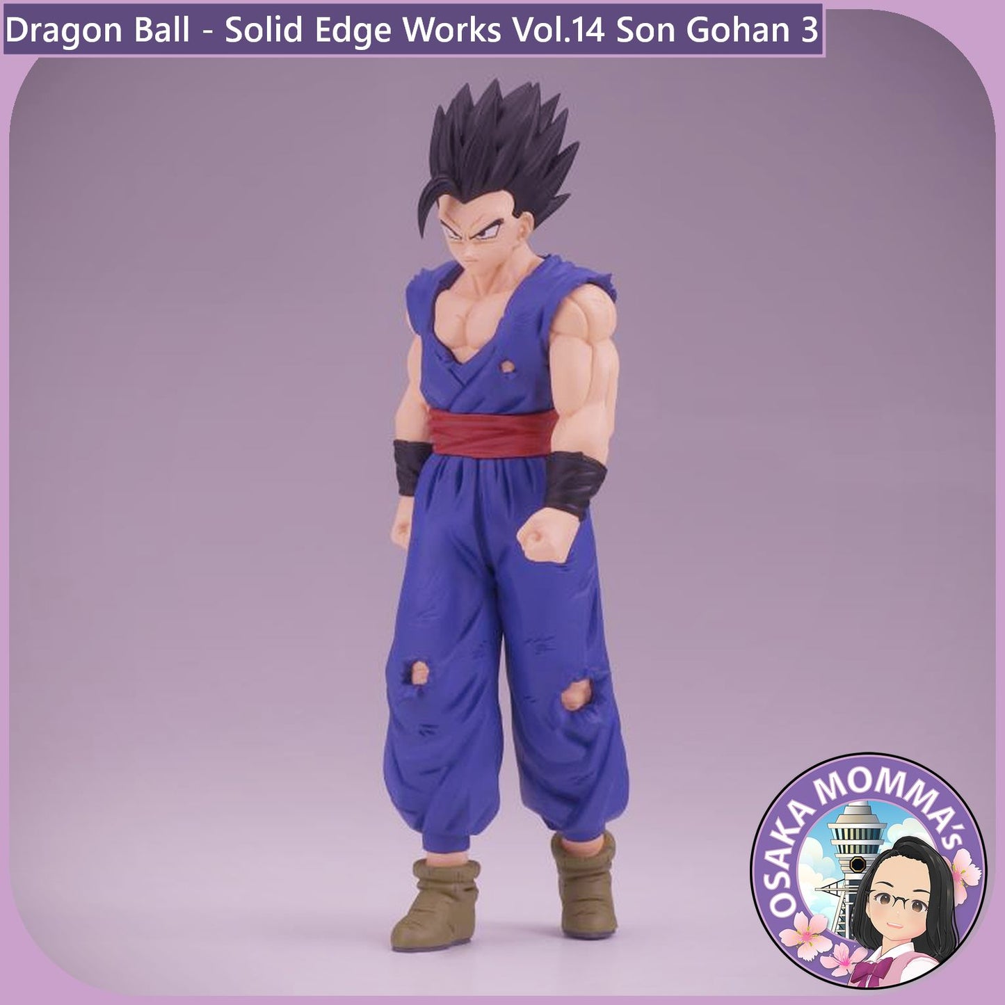 Son Gohan - Solid Edge Works Vol.14