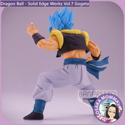 Gogeta - Solid Edge Works Vol.7