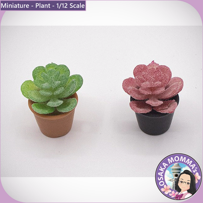 1/12 Scale Plant