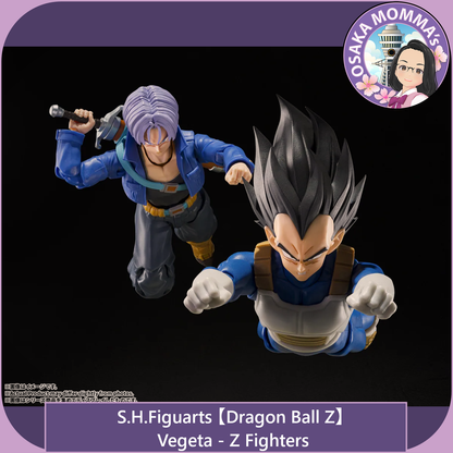 Vegeta -Z Fighters【Apr.2027】