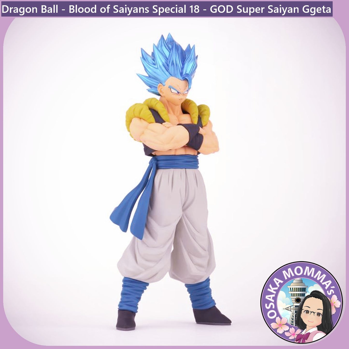 Super Saiyan GOD Super Saiyan Gogeta Blood of Saiyans Figure