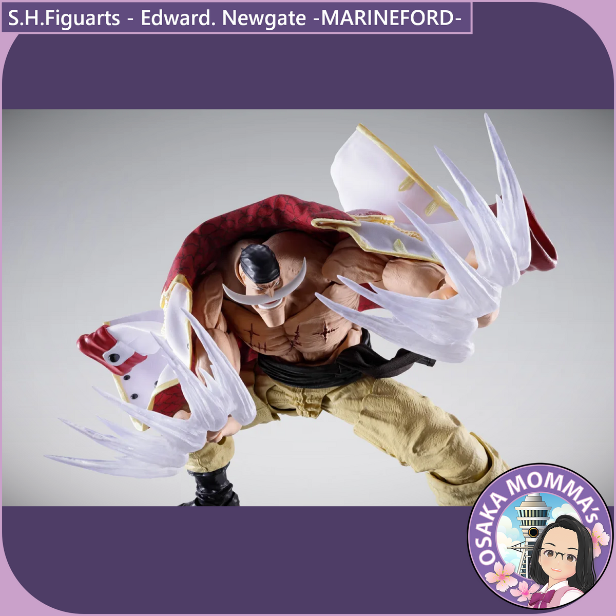 Edward. Newgate -MARINEFORD- S.H.Figuarts【June.2027】