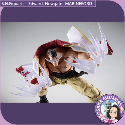 Edward. Newgate -MARINEFORD- S.H.Figuarts【June.2027】