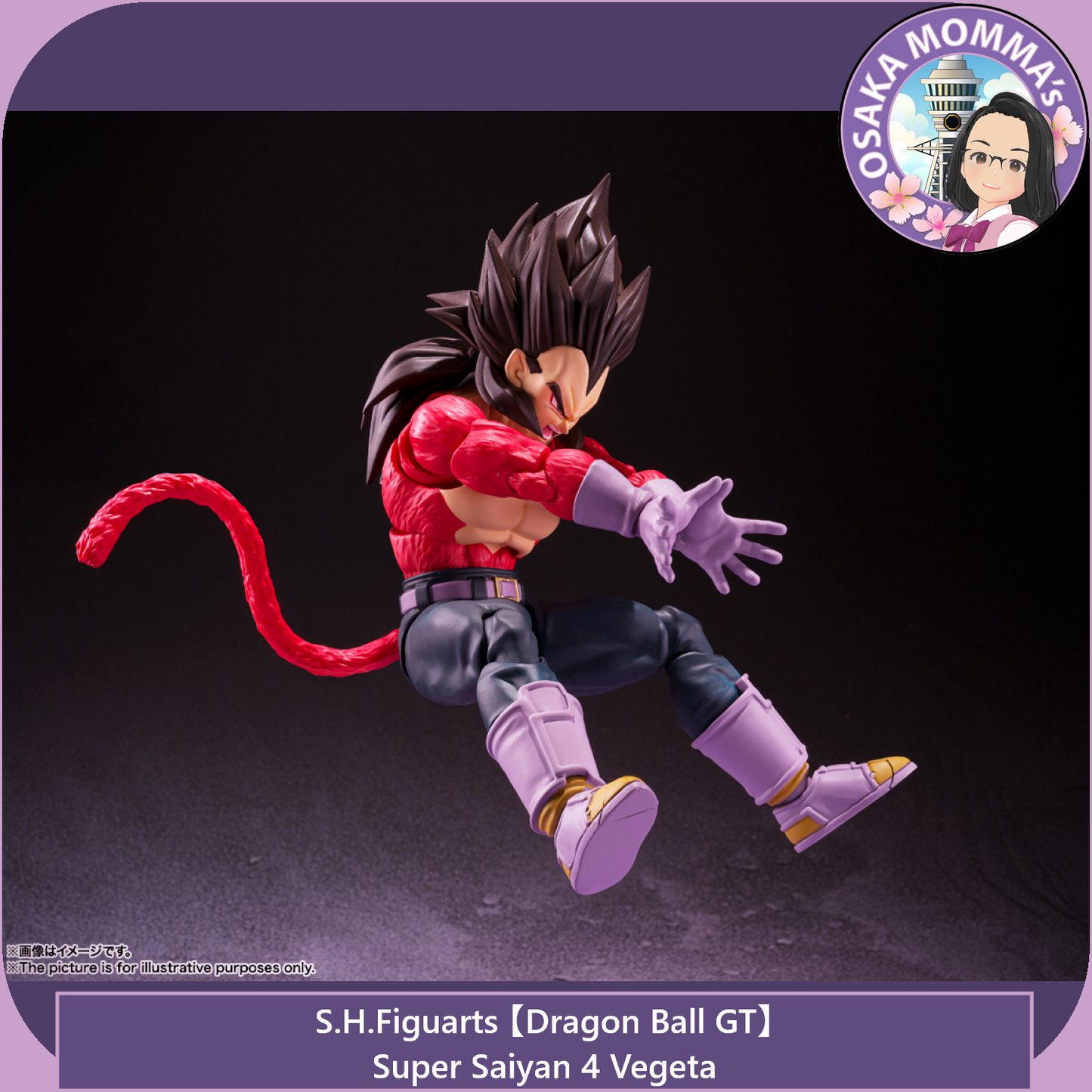 Super Saiyan 4 Vegeta - S.H.Figuarts