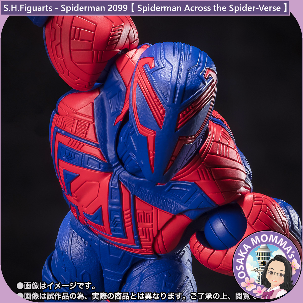 S.H.Figuarts - Spider-Man 2099【 Spider-Man Across the Spider 