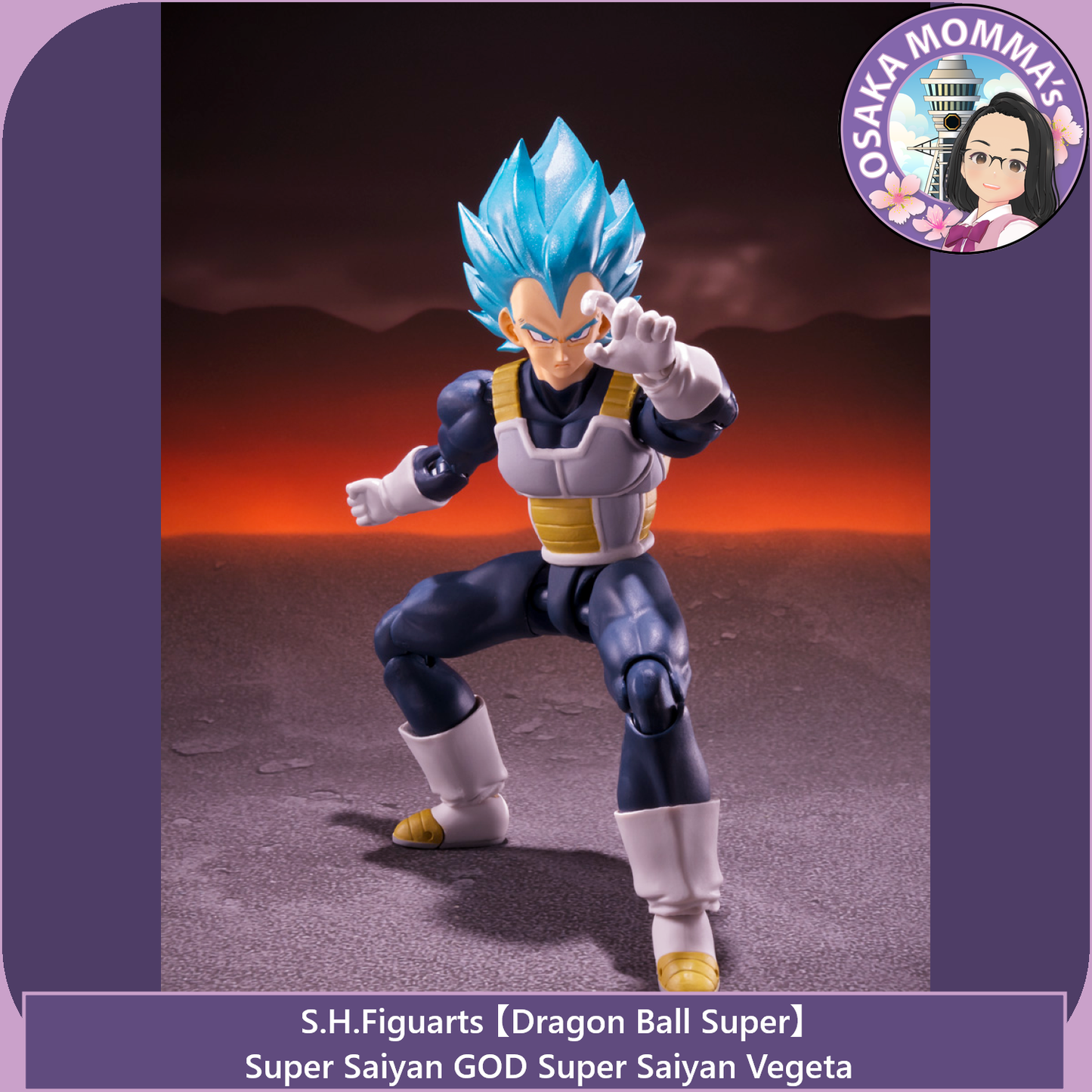 Super Saiyan GOD SS Vegeta - 15th Anniversary Ver. - S.H.Figuarts