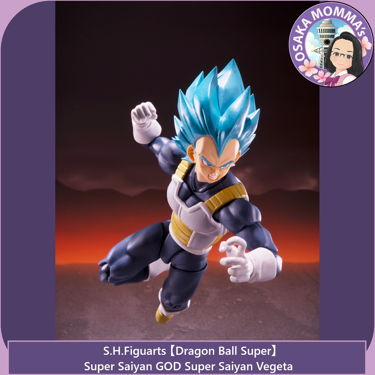 Super Saiyan GOD SS Vegeta - 15th Anniversary Ver. - S.H.Figuarts