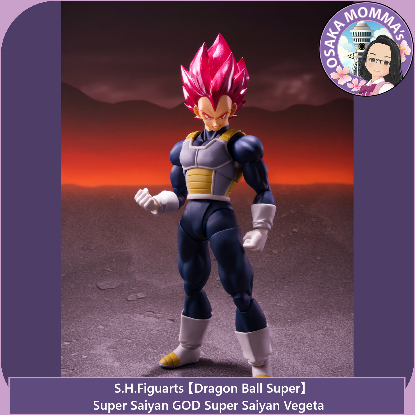 Super Saiyan GOD SS Vegeta - 15th Anniversary Ver. - S.H.Figuarts