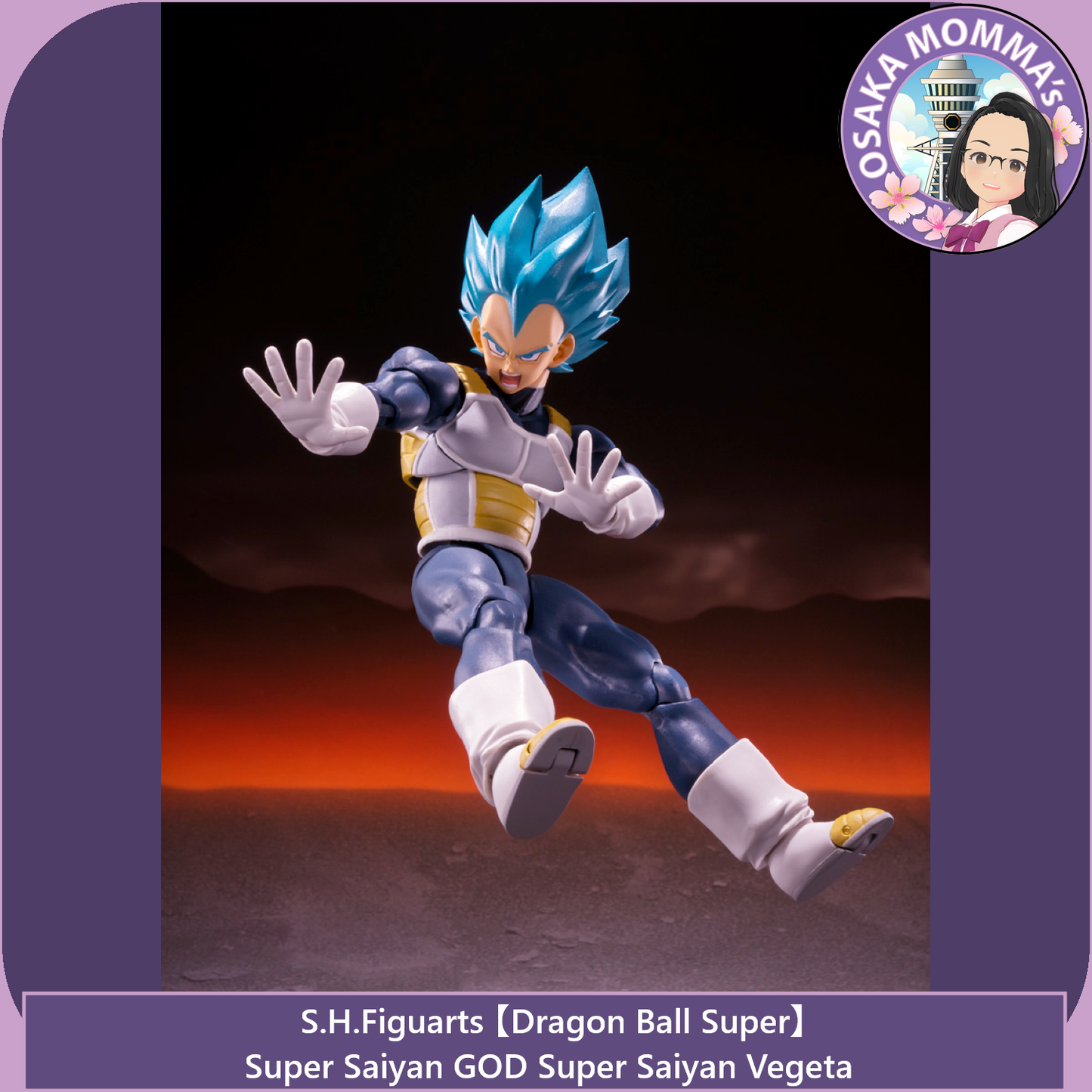 Super Saiyan GOD SS Vegeta - 15th Anniversary Ver. - S.H.Figuarts