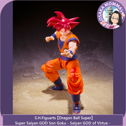 Super Saiyan GOD Son Goku -Saiyan GOD of Virtue