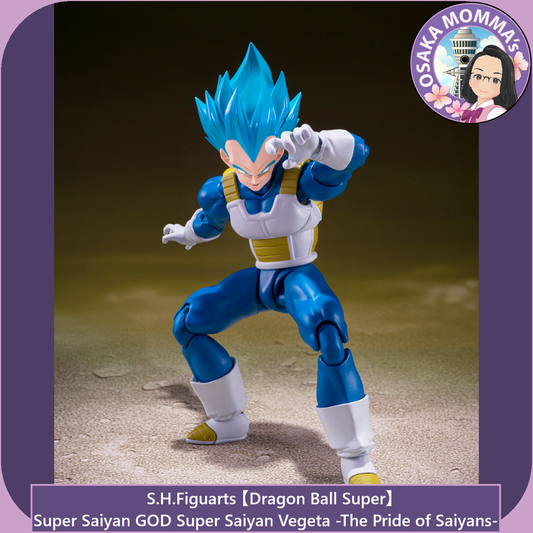 Super Saiyan GOD SS Vegeta -The Pride of Saiyans