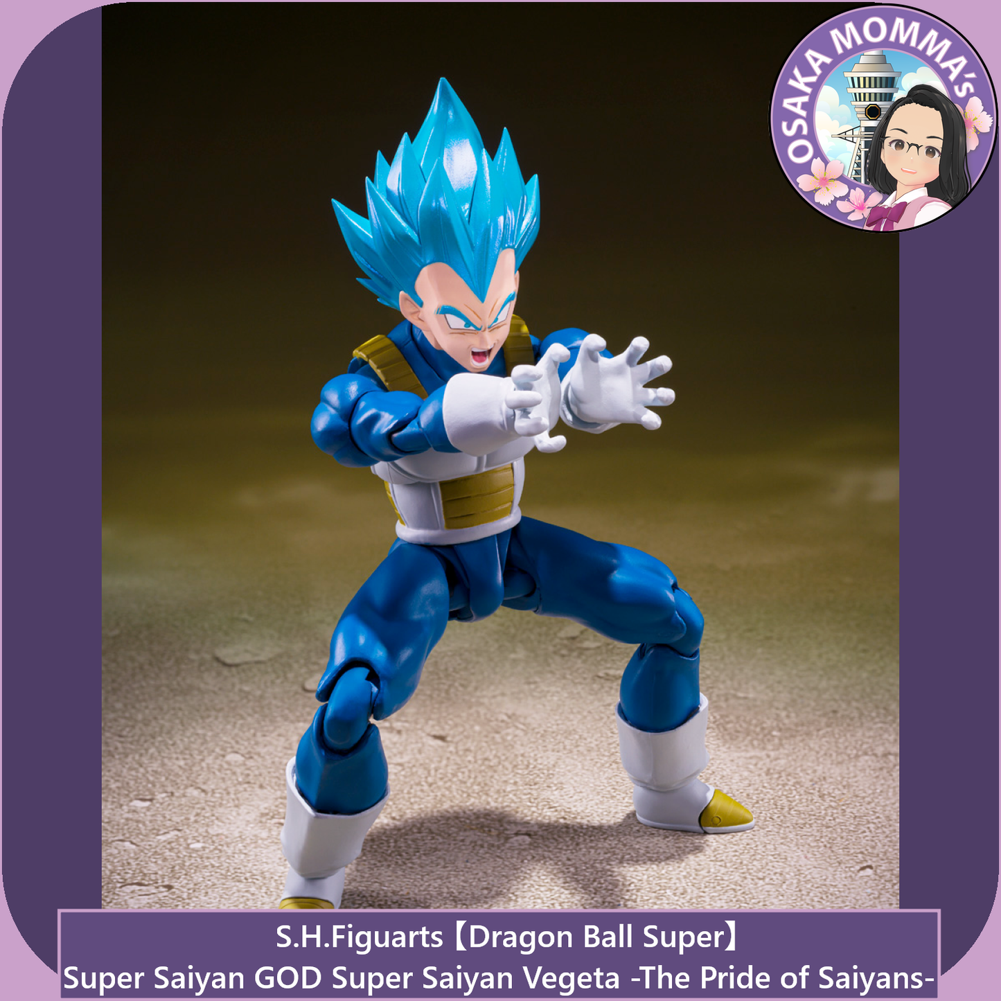 Super Saiyan GOD SS Vegeta -The Pride of Saiyans