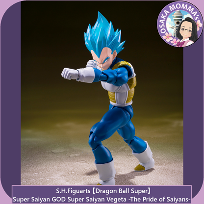 Super Saiyan GOD SS Vegeta -The Pride of Saiyans