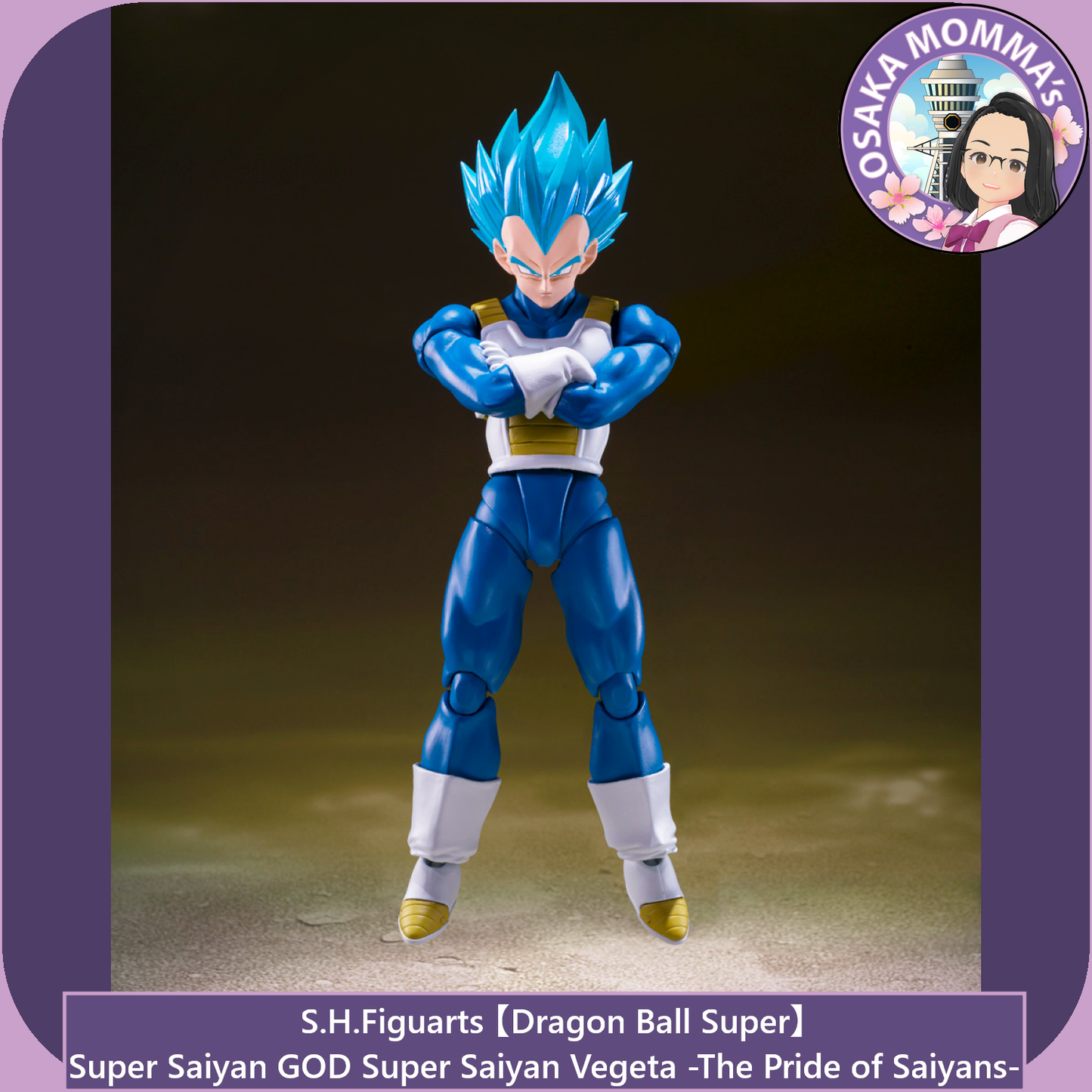 Super Saiyan GOD SS Vegeta -The Pride of Saiyans