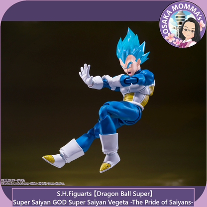 Super Saiyan GOD SS Vegeta -The Pride of Saiyans