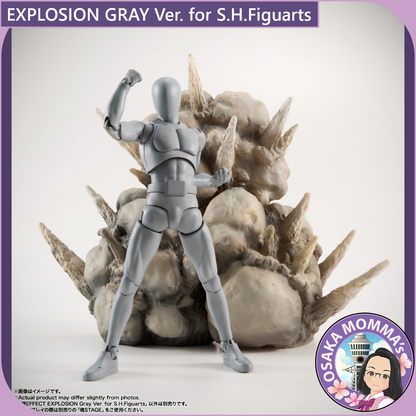 EXPLOSION GRAY Ver. for S.H.Figuarts