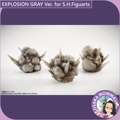 EXPLOSION GRAY Ver. for S.H.Figuarts