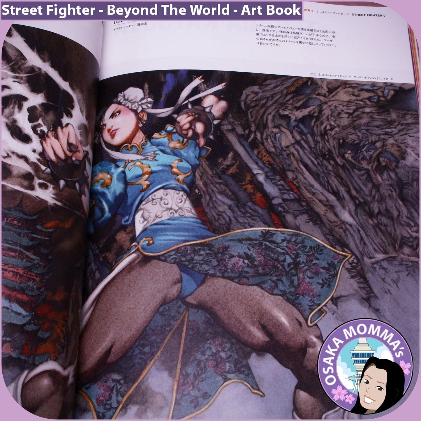 Street Fighter Beyond The World Art Book