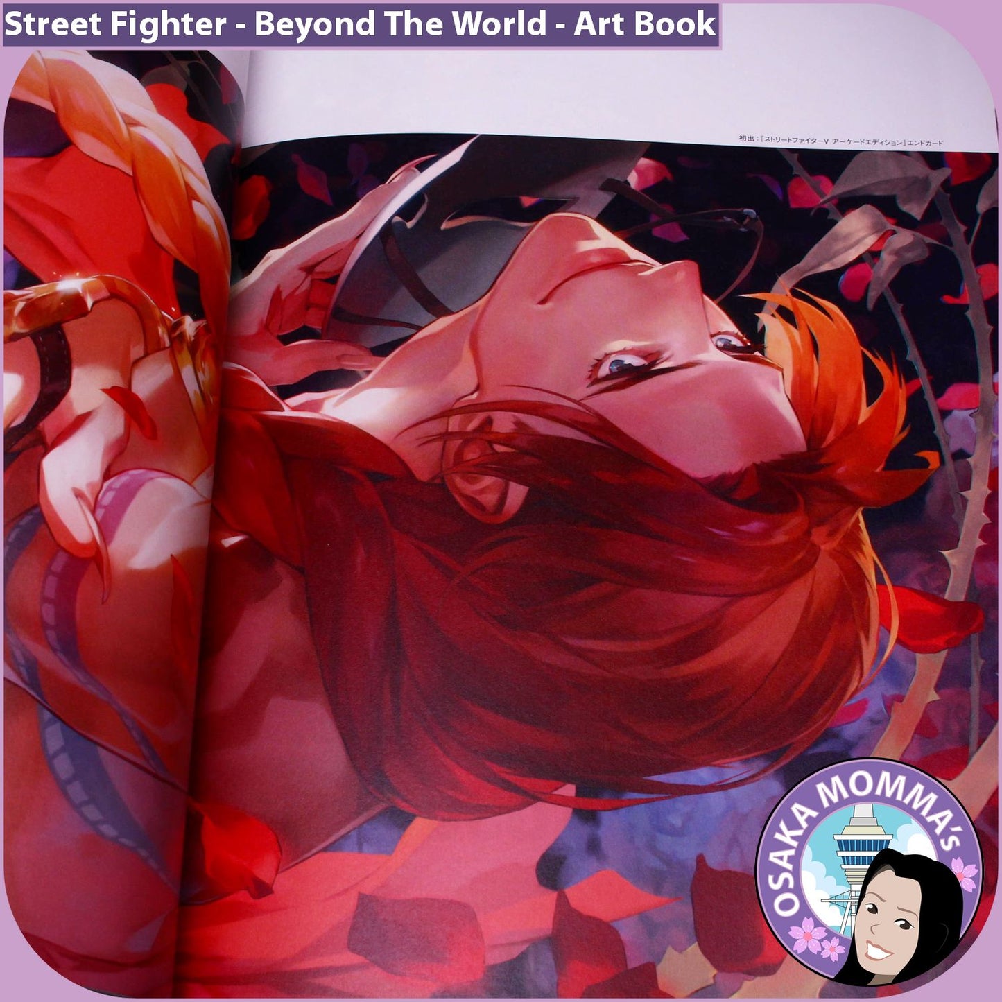 Street Fighter Beyond The World Art Book