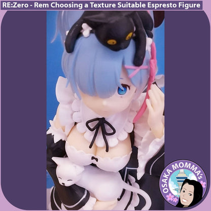 Rem Suitable Texture Espresto Figure