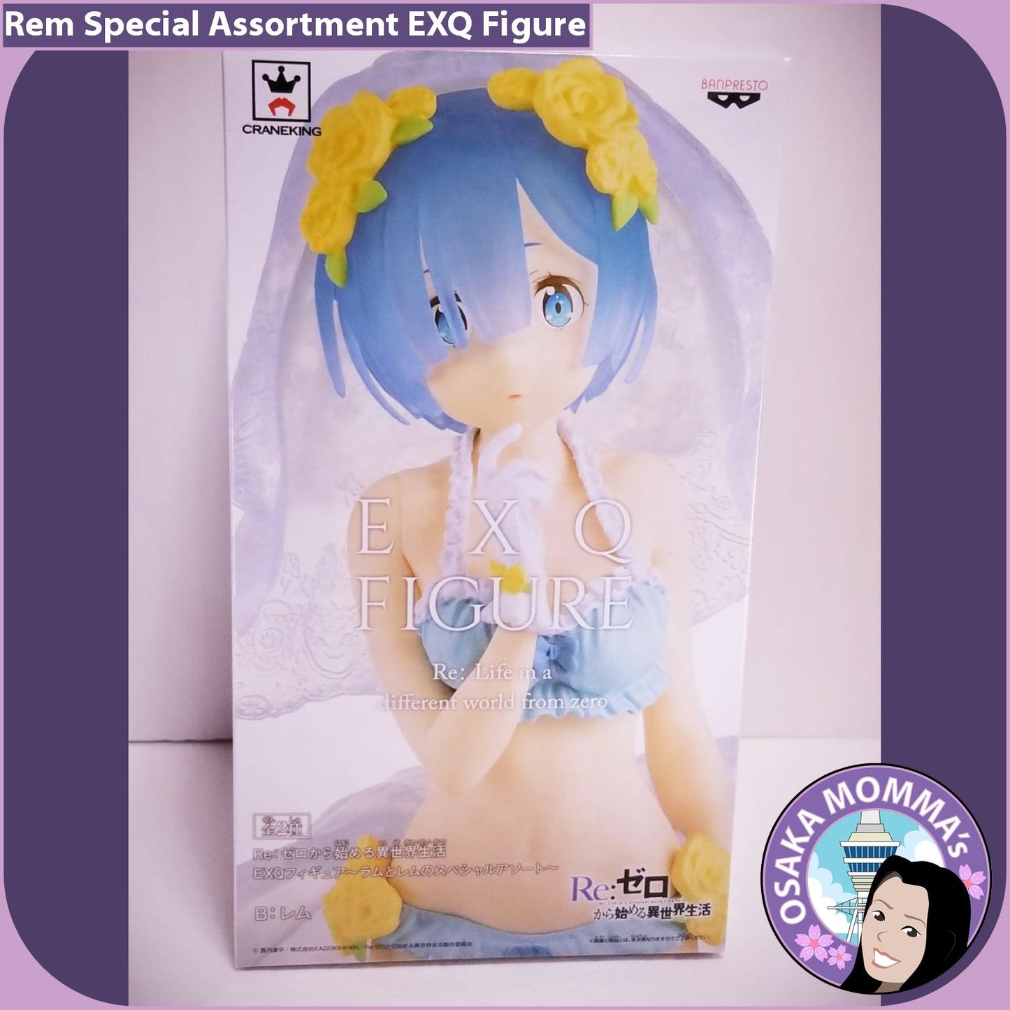 Rem Special Assortment EXQ Figure