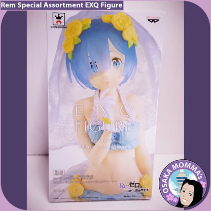 Rem Special Assortment EXQ Figure