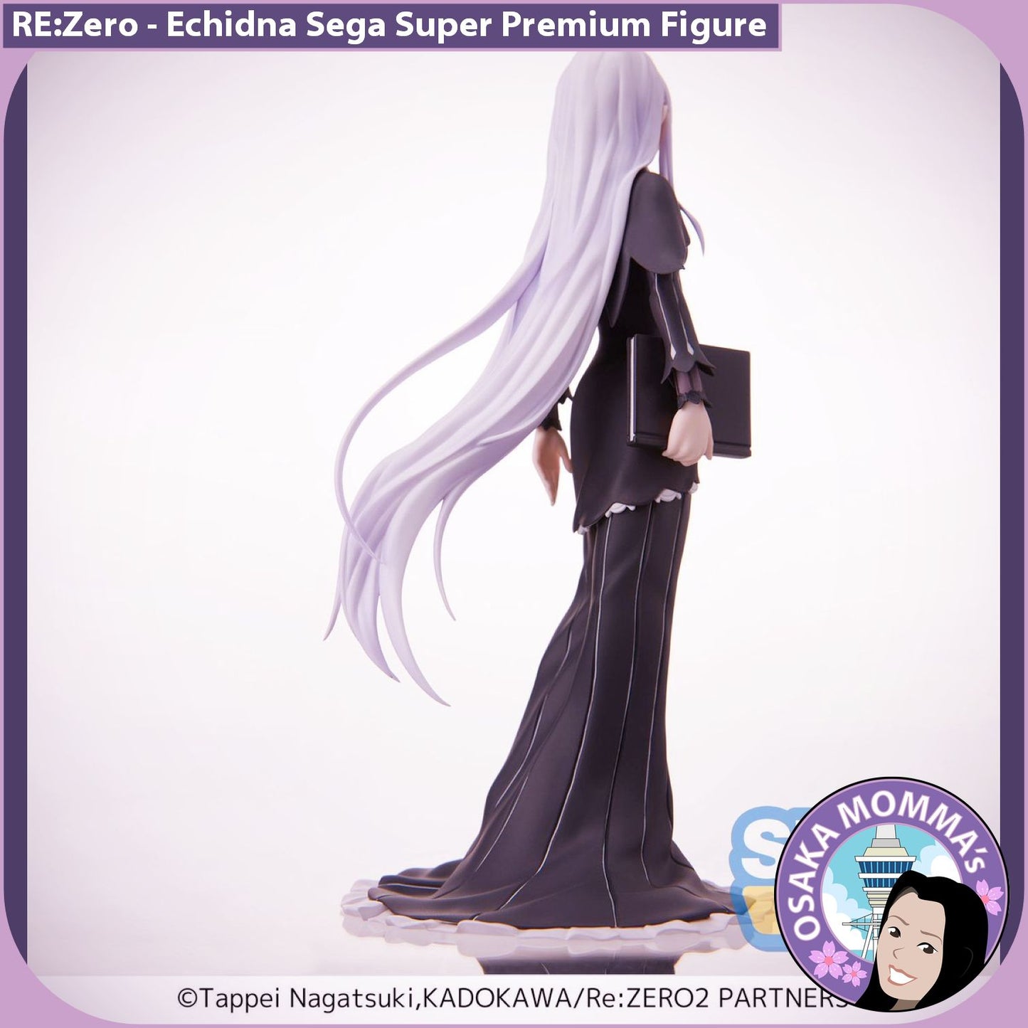 Echidna SPM Figure