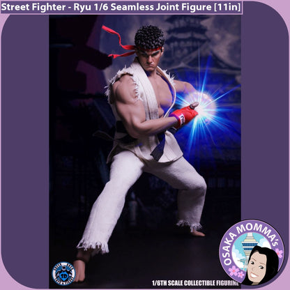 Ryu 1/6 Scale Seamless Joint Figure