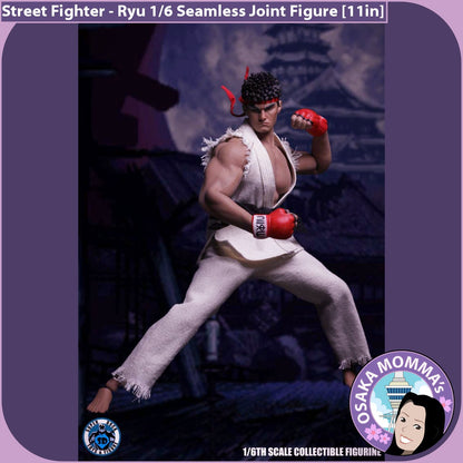 Ryu 1/6 Scale Seamless Joint Figure