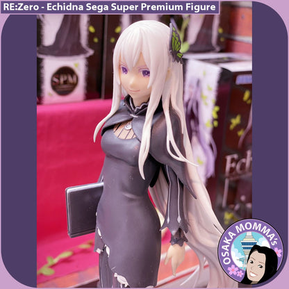 Echidna SPM Figure