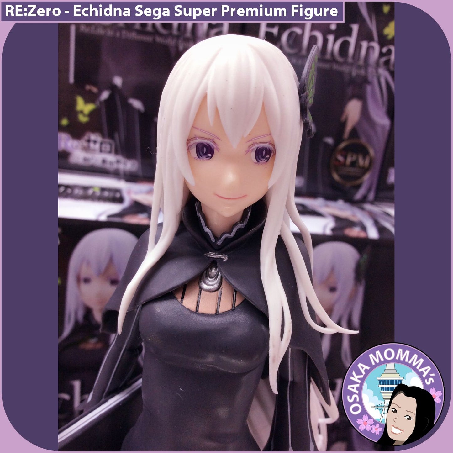 Echidna SPM Figure