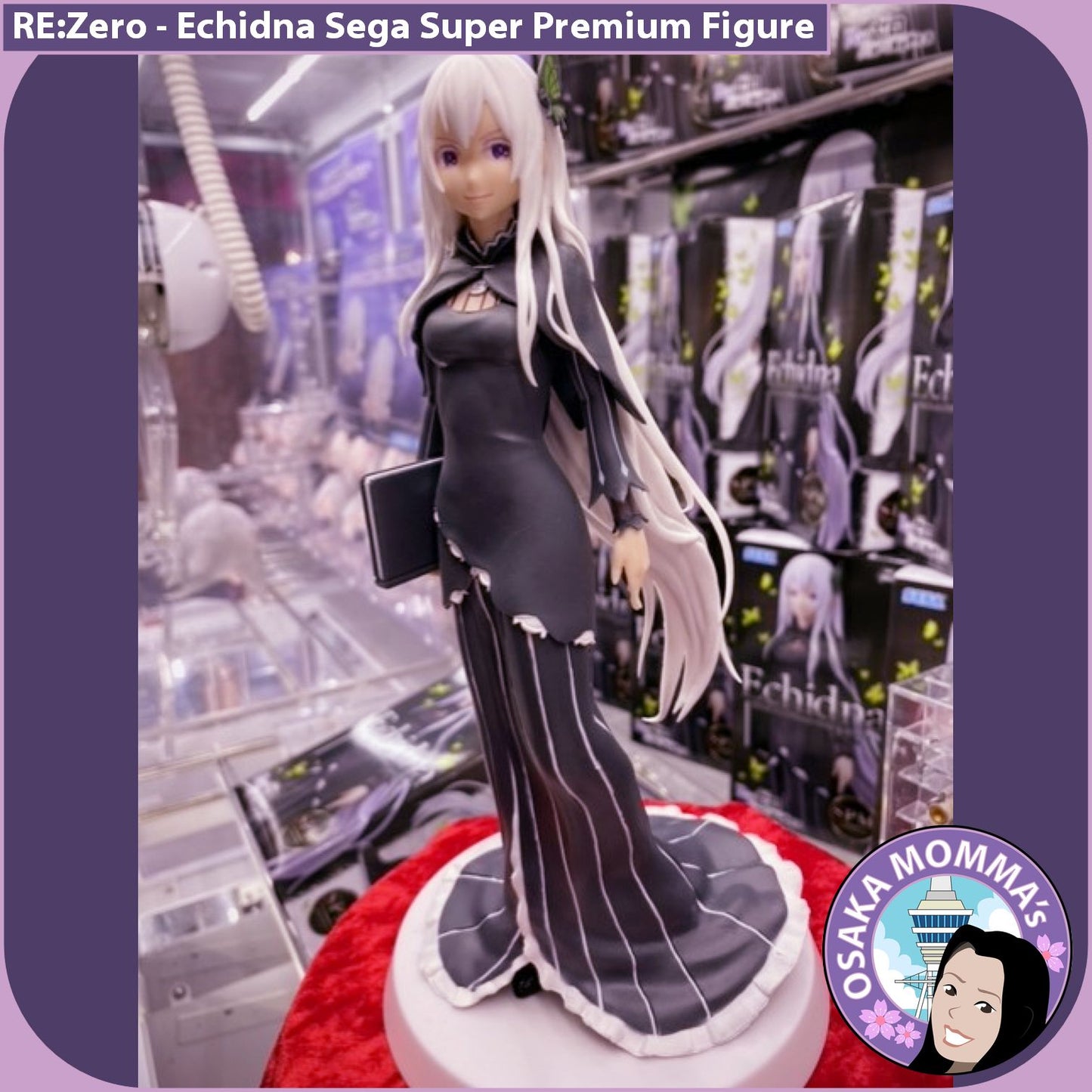 Echidna SPM Figure