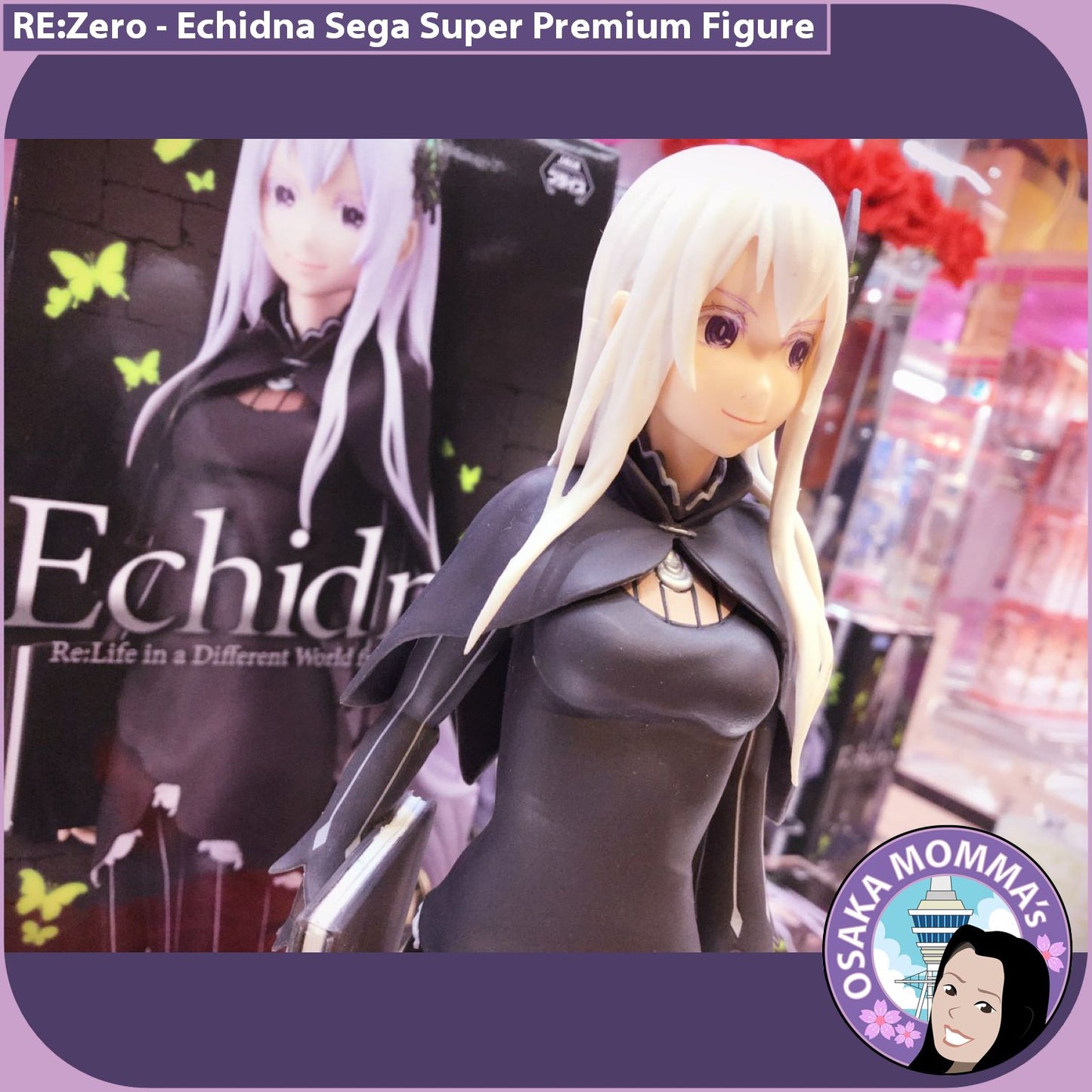 Echidna SPM Figure