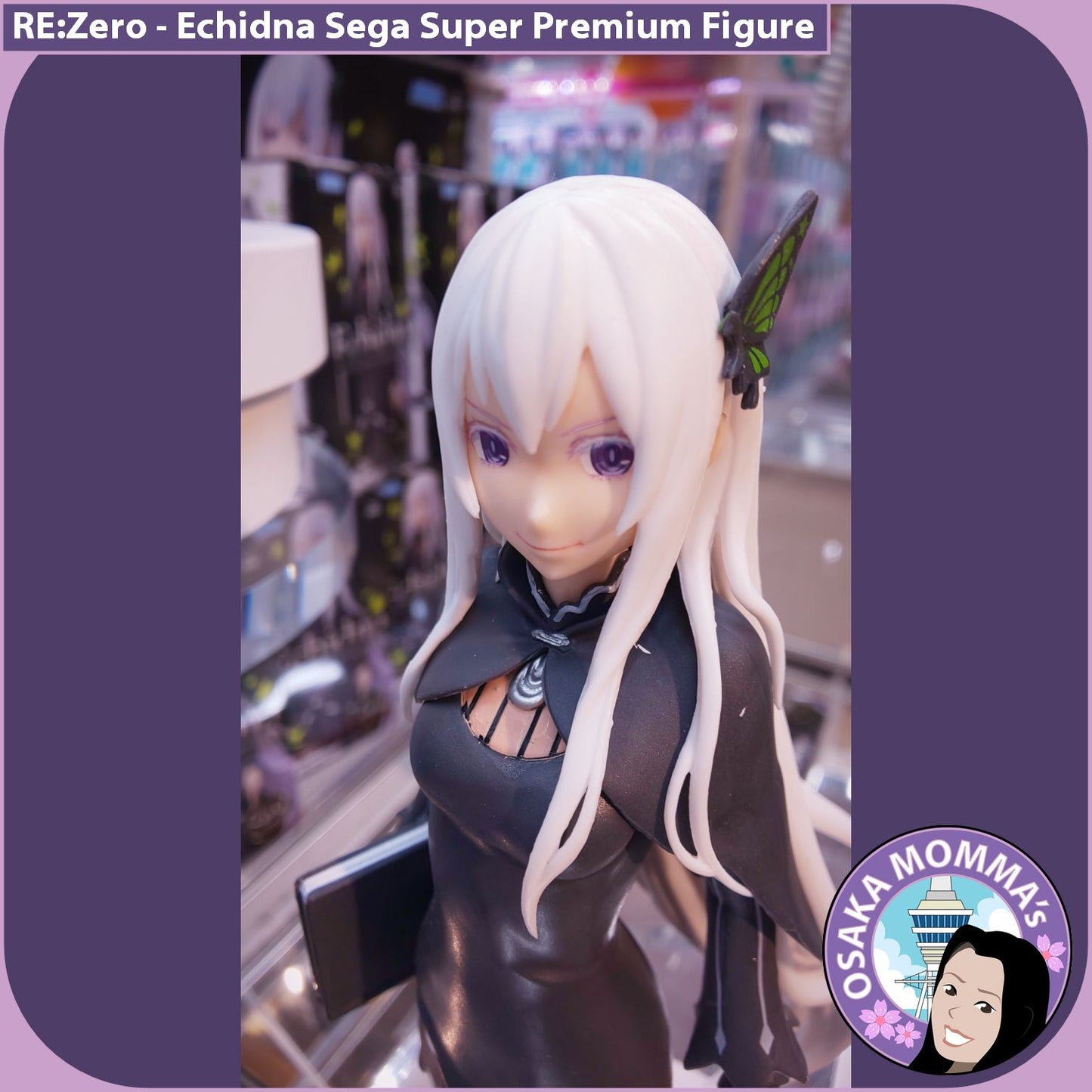 Echidna SPM Figure