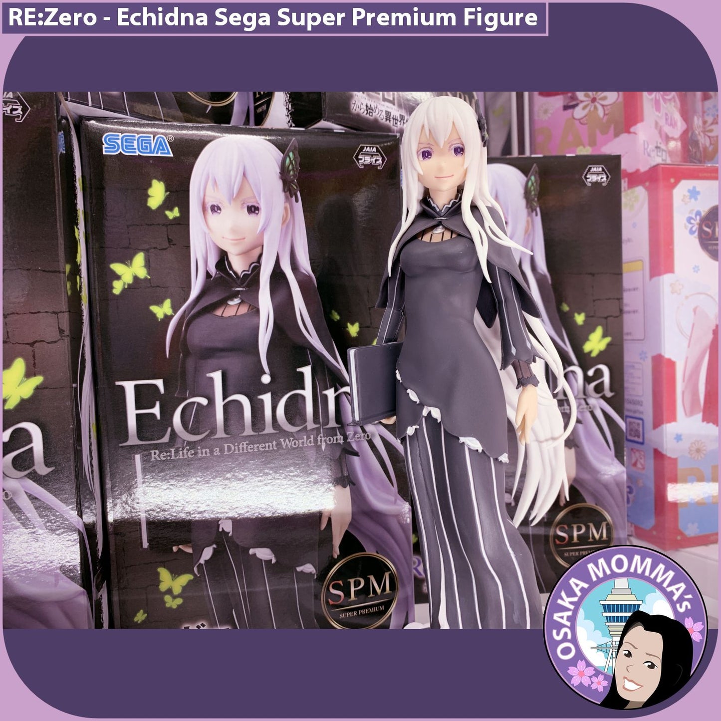 Echidna SPM Figure